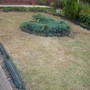 Front Lawn