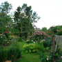 Picture_007