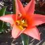 Leah_058
