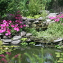 My Watergarden