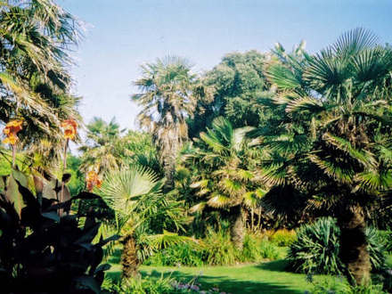 ventnor botanic garden Isle of wight