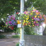 Hanging Baskets in West Boldon, South Tyneside. U.K.
