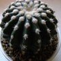 10_aug_08_001