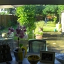 View from our kitchen window