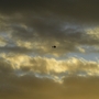 Troubled skies over my garden