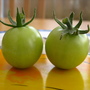my 1st toms