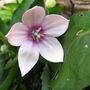 aaaa_027.jpg