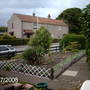 my garden(well, a bit of it) (Yucca filamentosa (Adam's needle))
