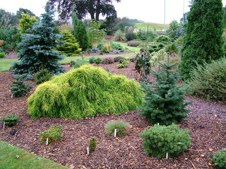 Foxhollow, garden view