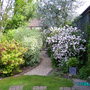 Pathway to greenhouse 