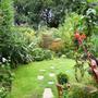 View of top garden from the bottom of the steps.