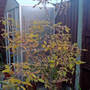 Dsc00072_edited