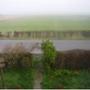 Fenland View