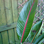 Dsc00074_edited