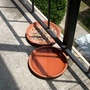 food and water for the birds 