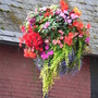 Oswestry in Bloom