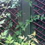 Dsc00067_edited