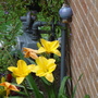 Dsc01785