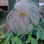 Dsc00072_edited