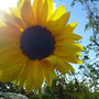 a bit of sunshine between the rain storms