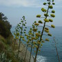 P1010550