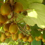 P1010568