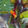 02092007391.jpg