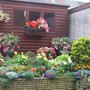 MY GARDEN