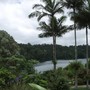 Lake Barrine