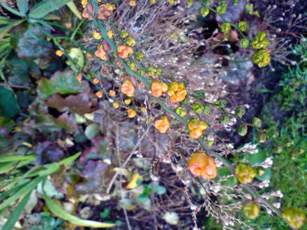 DSC00066_edited.jpg