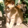 Little Ted in the jungle!