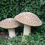 mushrooms