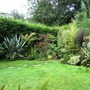 Lawn