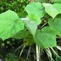 14_aug_08_028