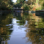 Pond at water level
