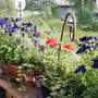 Porch rail from porch