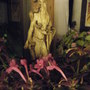 Indoor East Window