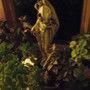 Indoor East Window