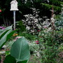 once in the centre of the bed...the artemisia is close to the new pathway and firepit.