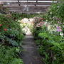 Nursery