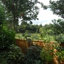 My sister suzie's garden