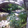 Coed y Brenin