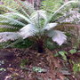 Portmeirion