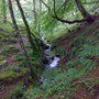 Tan-y-Bwlch