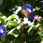 20080817_01b