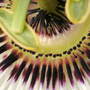 Dscf0166_1_