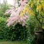 Colour in May