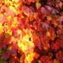 Picture_1027