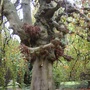 Picture_927
