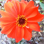 Dscf1077